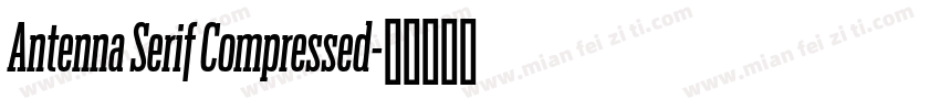 Antenna Serif Compressed字体转换